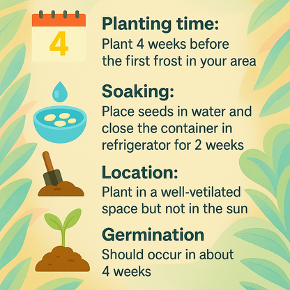 EachLiving™ GardenGlow Rare Premium Hosta Seeds Blend