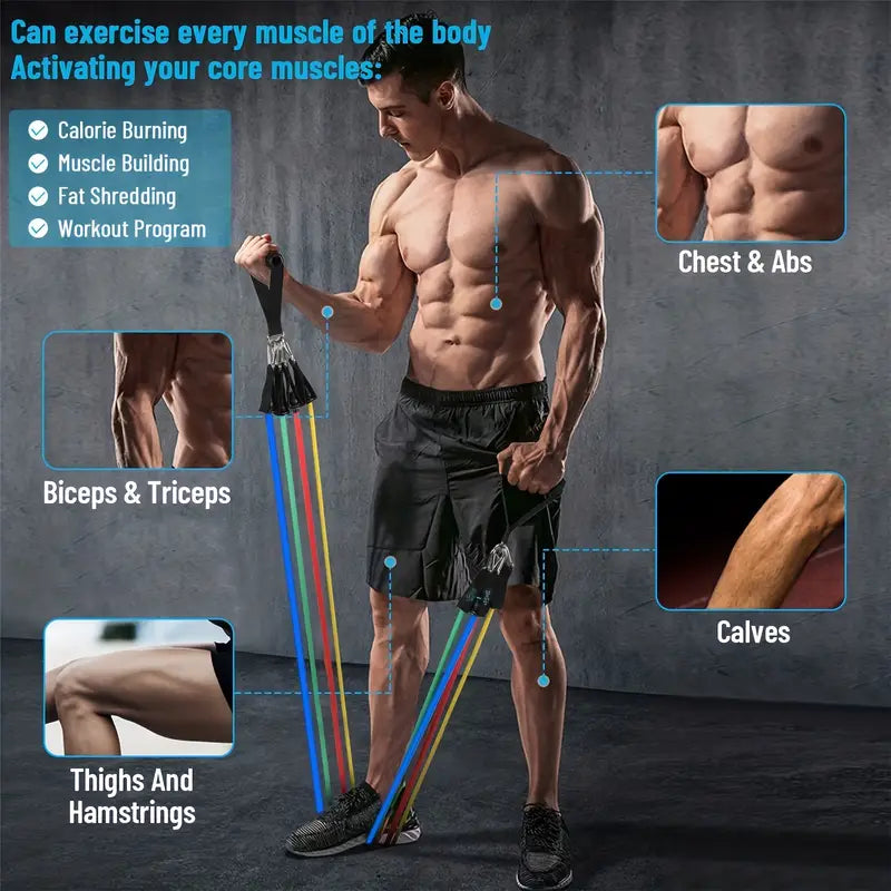 FitLoop™ Power Resistance Bands Set for Body Transformation